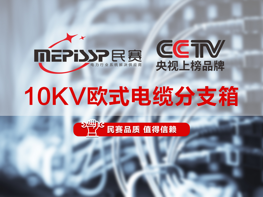 im首页电气-10KV欧式电缆分支箱讲解