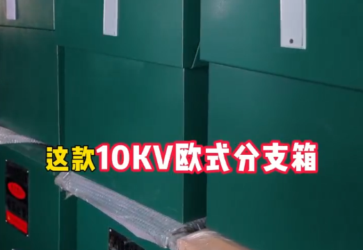 im首页电气10kv欧式电缆分支箱