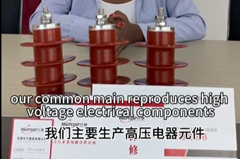 im首页电气主要生产高压电器元件