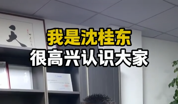 沈总的人生经历