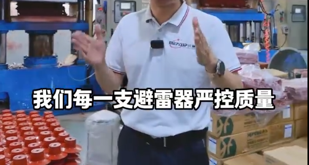 im首页避雷器坚守品质 欢迎洽谈